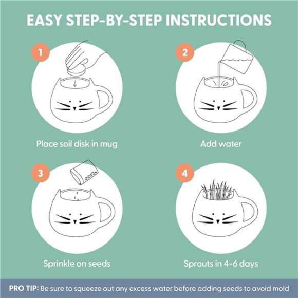 The Cat Ladies Organic Cat Grass for Indoor Cats - Growing Kit with Organic Seed - Picture 4 of 7